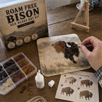 DIY Western Sea Glass Art Kit Collection